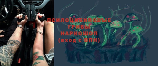 гашик Арсеньев