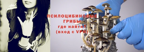 каннабис Армянск