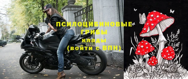 прущие грибы Аркадак