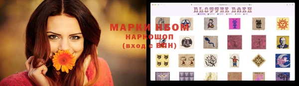 гашик Арсеньев