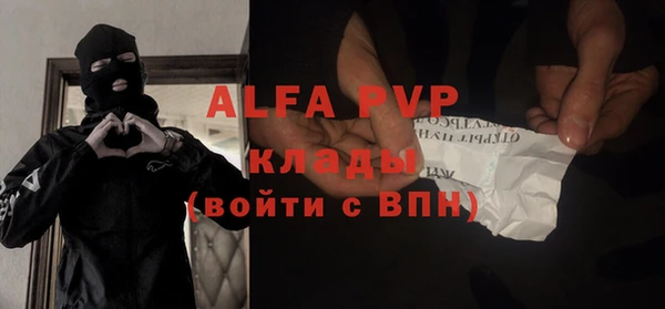 прущие грибы Аркадак