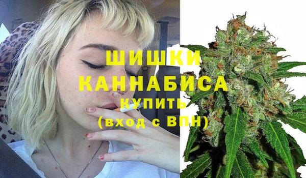 гашик Арсеньев