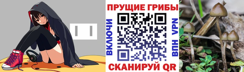Галлюциногенные грибы ЛСД  закладки  Белозерск 
